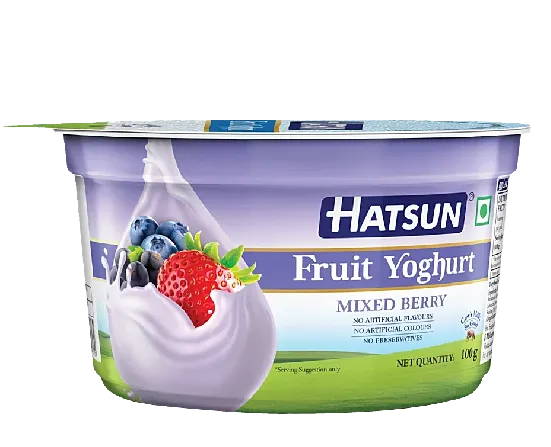 Hatsun Yoghurt - Blueberry