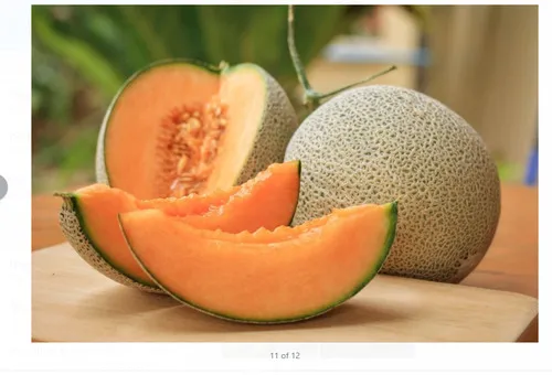 Muskmelon Fresh Fruits