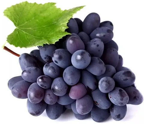 Grape Fresh Fruits