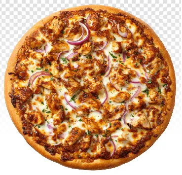 Non Veg Pizza (Medium)