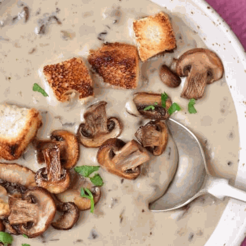 Cream of Mushroom Soup