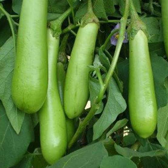 Valuthalangai- 500g (வழுதலை)