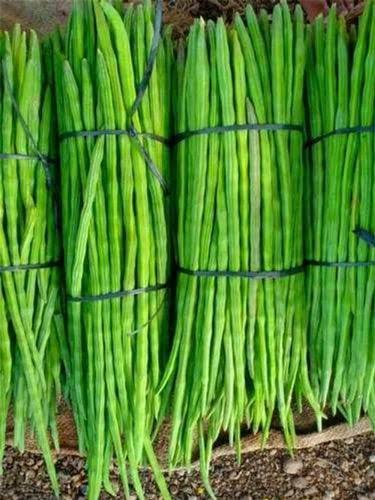 Drumstick- 500g (முருங்கைக்காய்)
