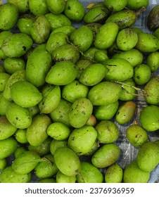 Country Mango (மாங்காய் நாடு) - 500g