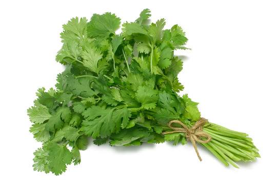 Coriander (மல்லி) - Bunch