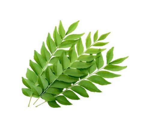 Curry Leaves (கறிவேப்பிலை) - Bunch